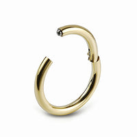Segmentring