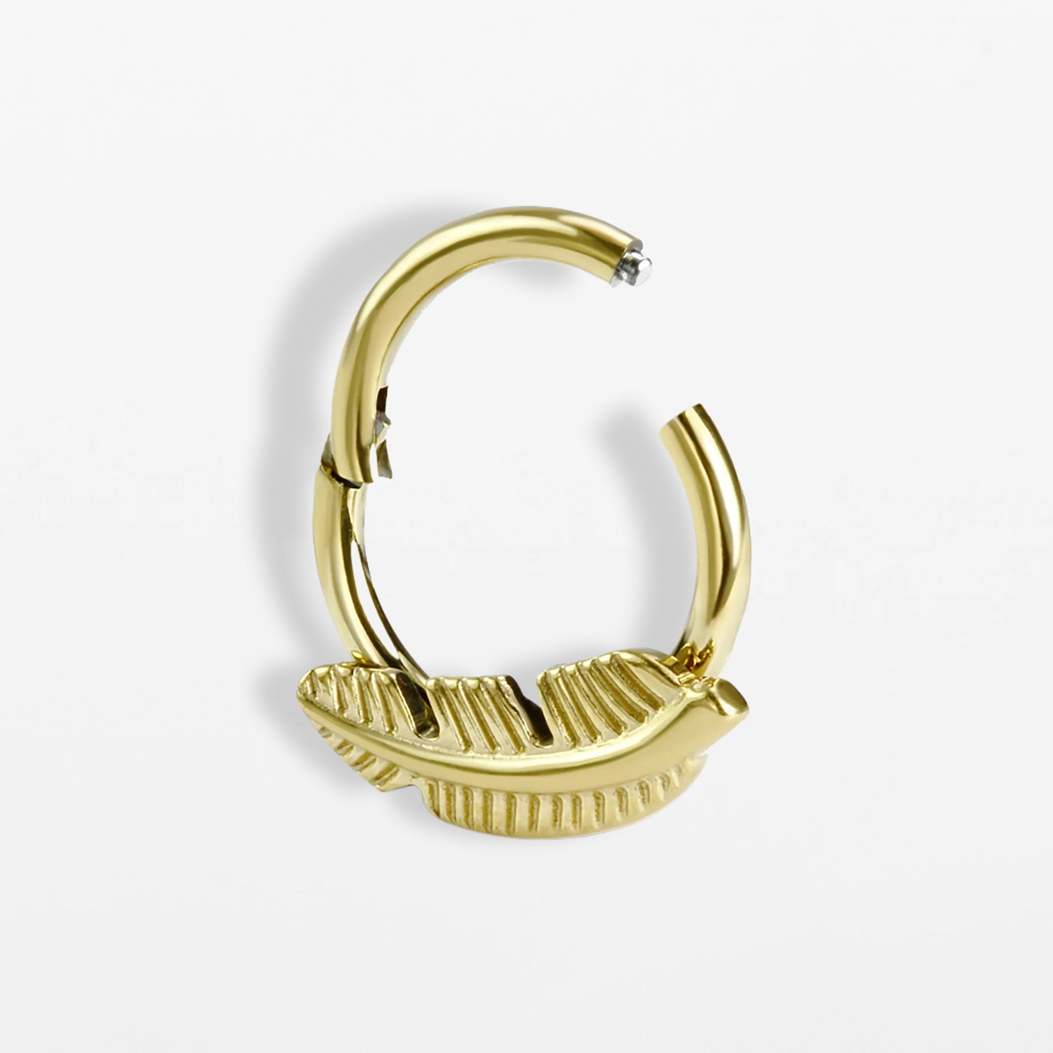Titan Segmentring Feder (einzelnes Piercing)