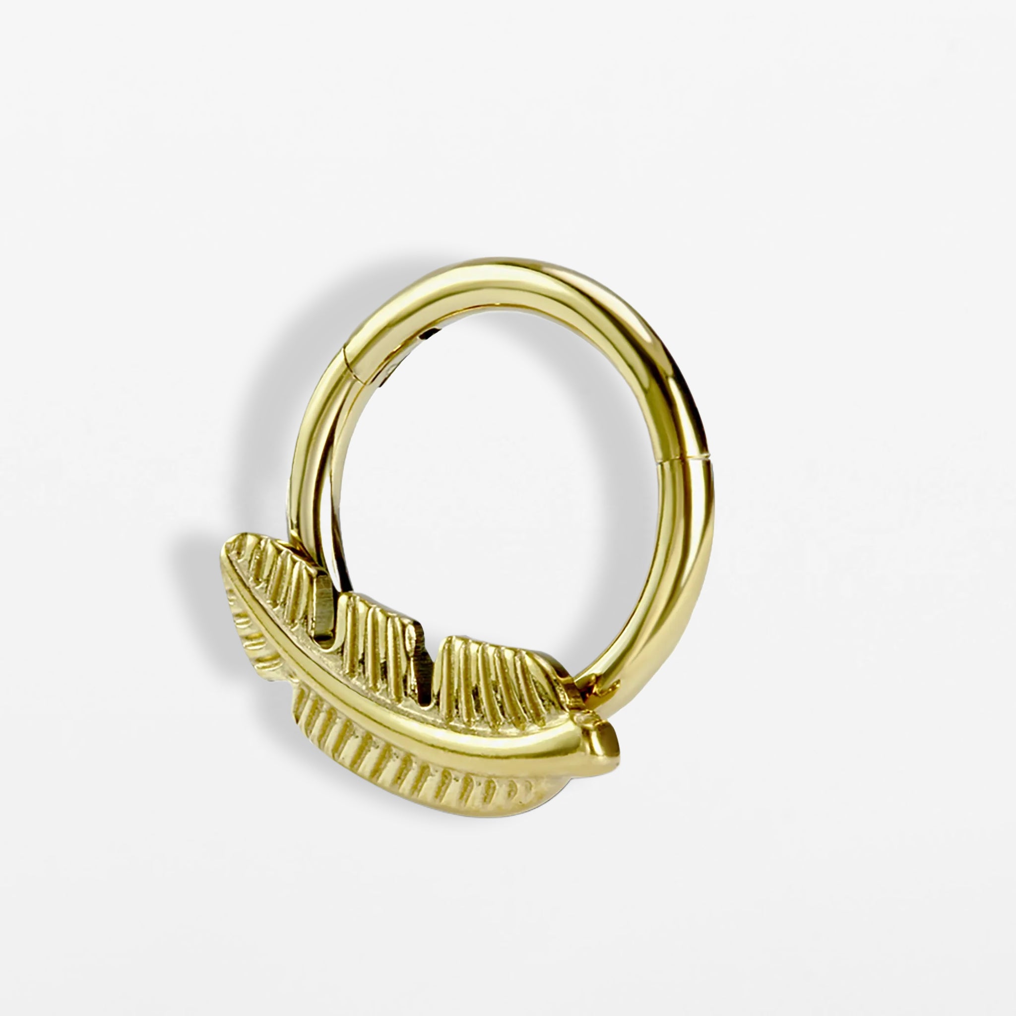 Titan Segmentring Feder (einzelnes Piercing)