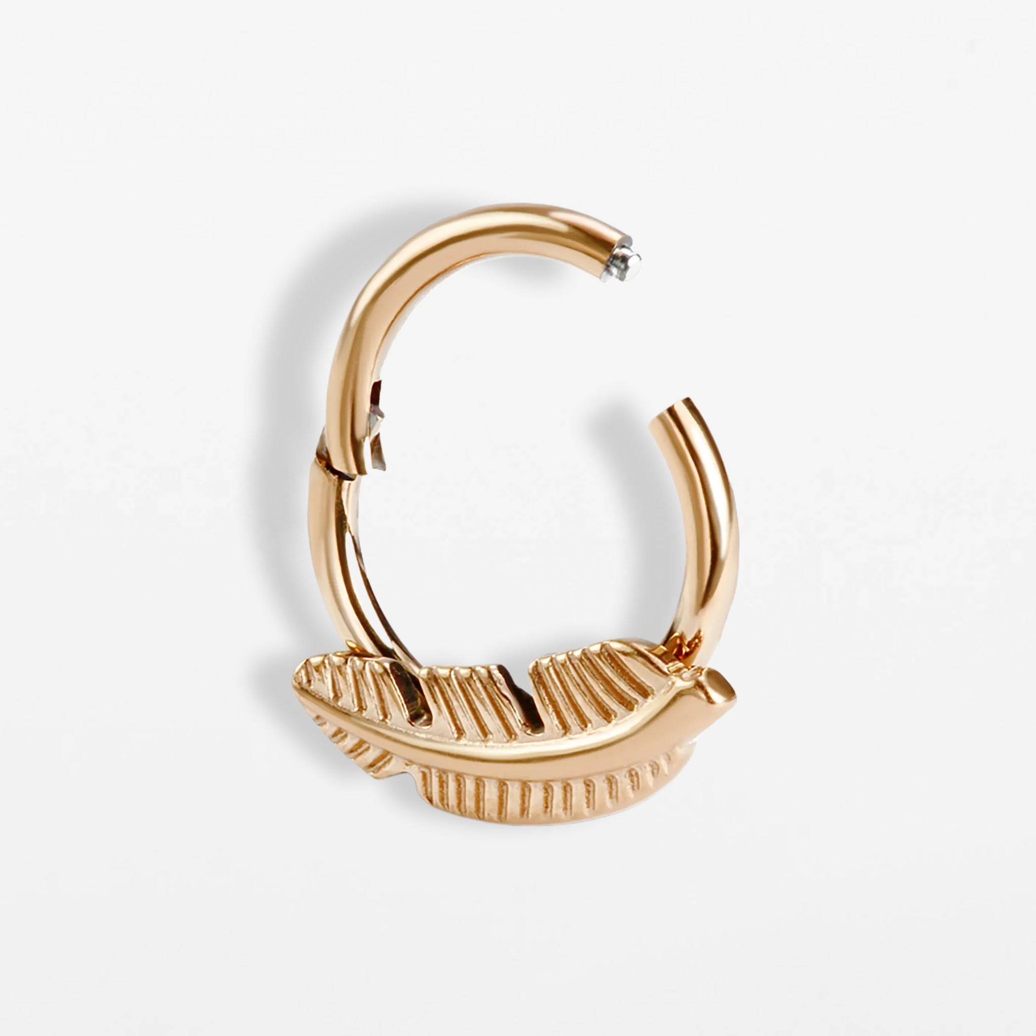 Titan Segmentring Feder (einzelnes Piercing)